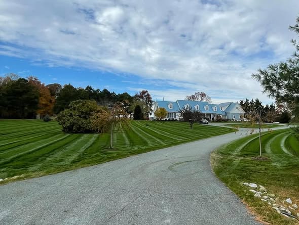 After lawn renovation — lush green lawn by Edsall Turf Management