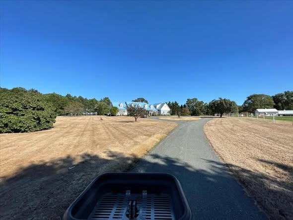 Before lawn renovation — Edsall Turf Management Eastern Shore Maryland