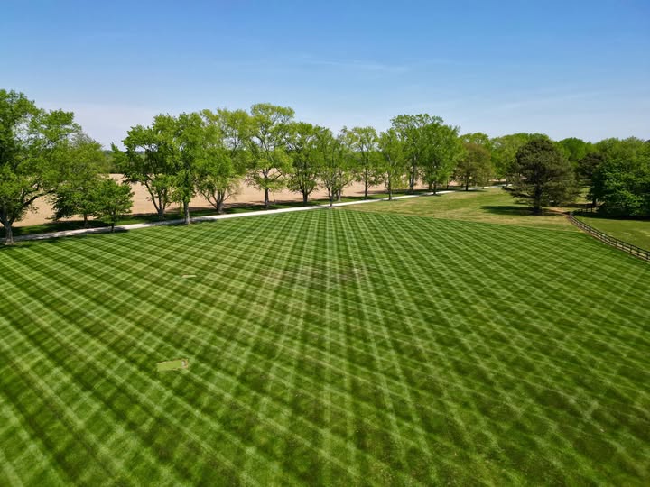 Estate lawn mowing — Eastern Shore, MD